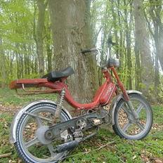 Vespa bravo :sjtålet: