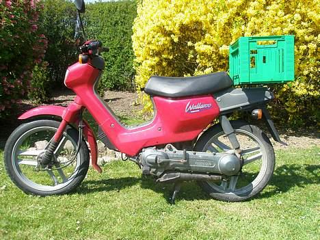 Honda wallaroo tilsalg billede 2