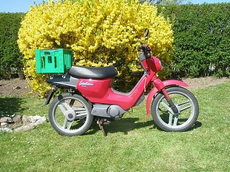 Honda wallaroo tilsalg billede 3