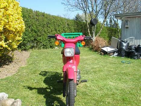Honda wallaroo tilsalg billede 4