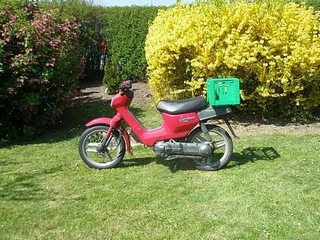 Honda wallaroo tilsalg billede 8