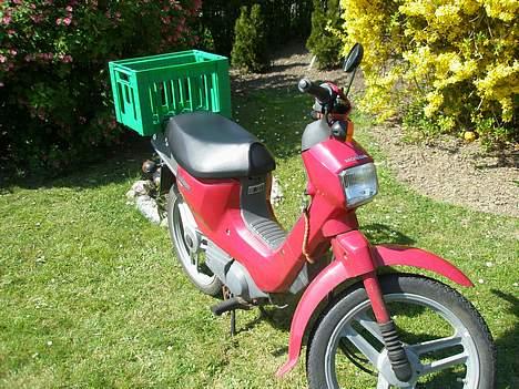 Honda wallaroo tilsalg billede 9