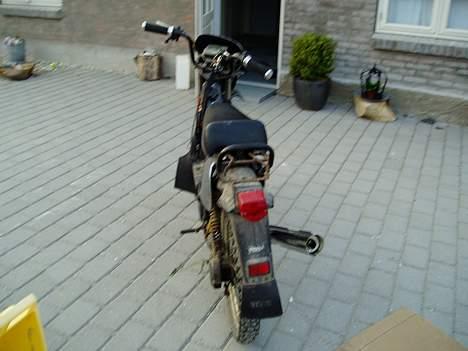 Yamaha Sting SG50 (Byttet) billede 5