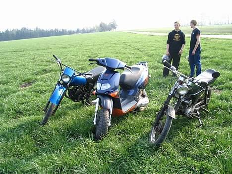 Aprilia Rally billede 14