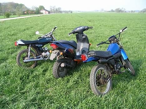 Aprilia Rally billede 15