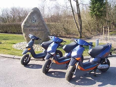 Aprilia Rally billede 18