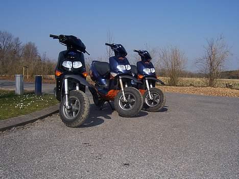 Aprilia Rally billede 19