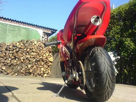 MiniBike Daytona billede 5