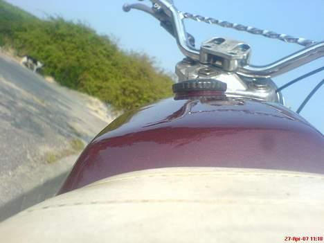 Puch Monza (Vildkatten)Byttet  billede 5