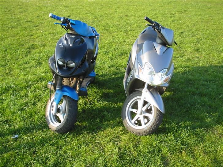 Polini PMX EVO AC billede 14