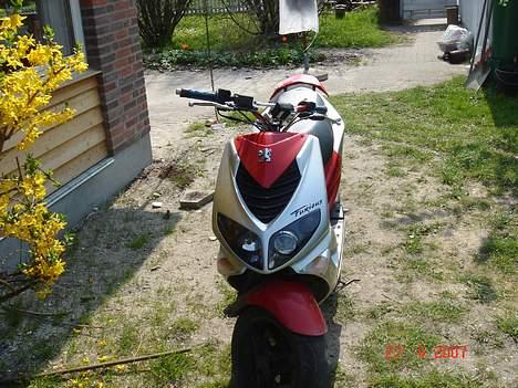 Peugeot Speedfight furious billede 2