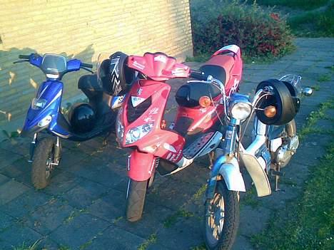 Gilera STALKER...(EN STEMME TAK) - de 3 styrer billede 17