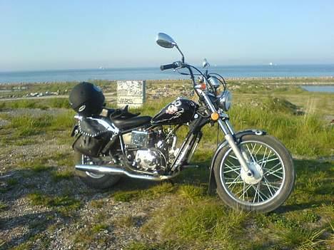 Regal regal raptor  Byttet! billede 8