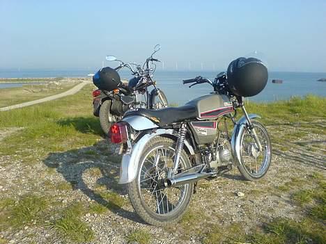 Regal regal raptor  Byttet! - Min og roland m´s billede 9