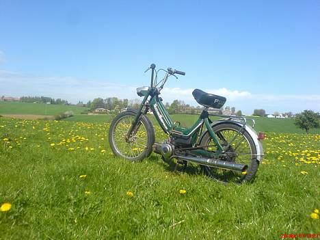 Puch Maxi K E50 *solgt* billede 1