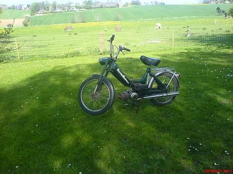 Puch Maxi K E50 *solgt* billede 2