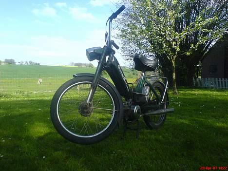 Puch Maxi K E50 *solgt* billede 3