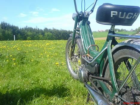 Puch Maxi K E50 *solgt* billede 7