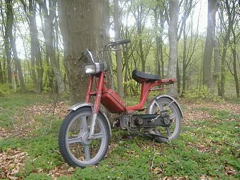 Vespa bravo :sjtålet: billede 1