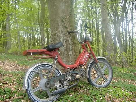 Vespa bravo :sjtålet: billede 2