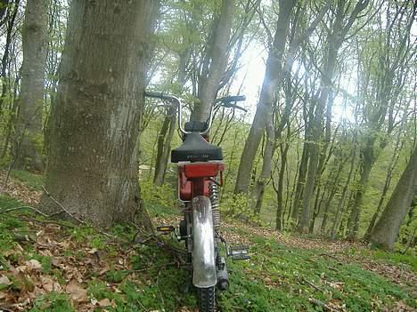 Vespa bravo :sjtålet: billede 6