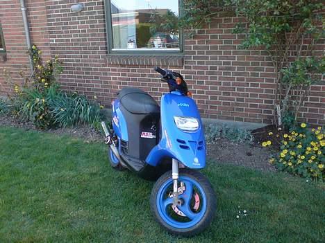 Piaggio Typhoon™ >solgt< billede 1