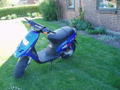 Piaggio Typhoon™ >solgt< billede 8