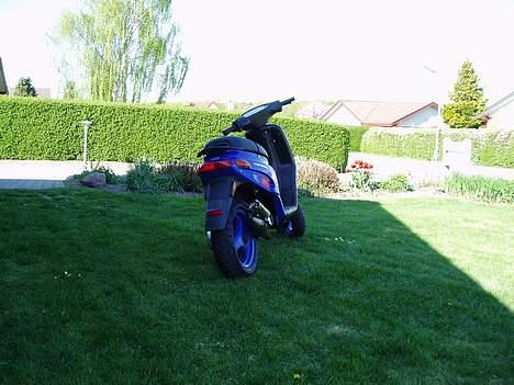 Piaggio Typhoon™ >solgt< billede 13