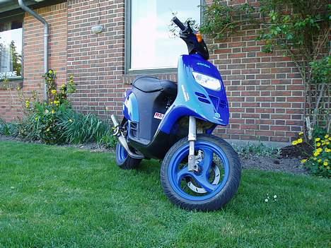 Piaggio Typhoon™ >solgt< billede 15