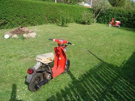 Honda melody solgt billede 9