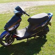 Giantco Sprint sport