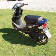 Giantco Sprint sport