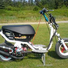 Aprilia Sonic LC SOLGT