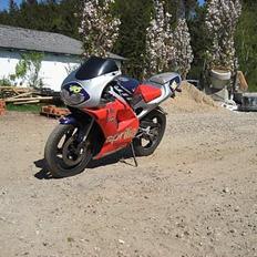 Aprilia RS50 LC DD Byttet