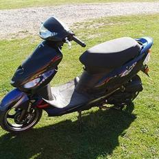 Giantco Sprint sport