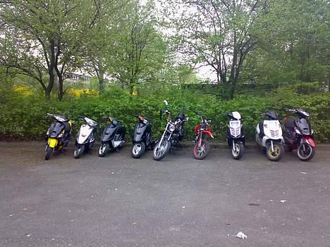 Giantco Sprint billede 9