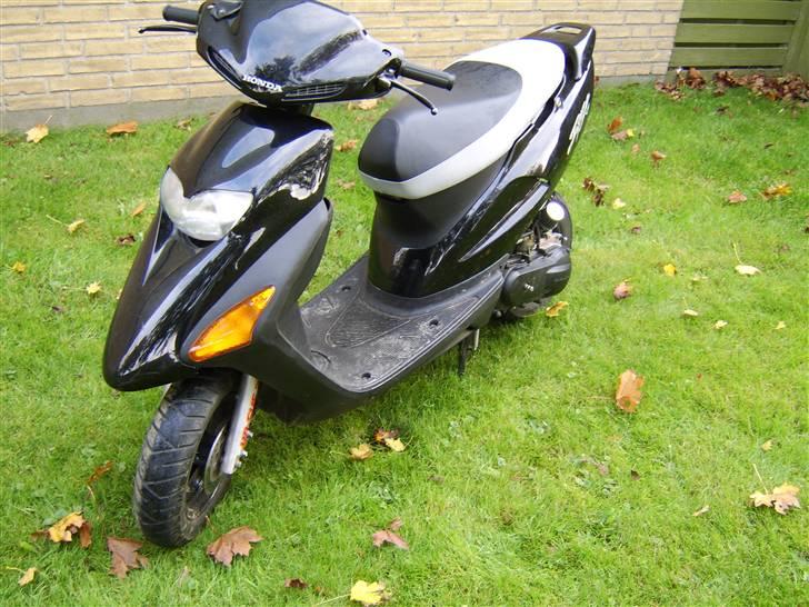 Honda sfx til salg billede 2
