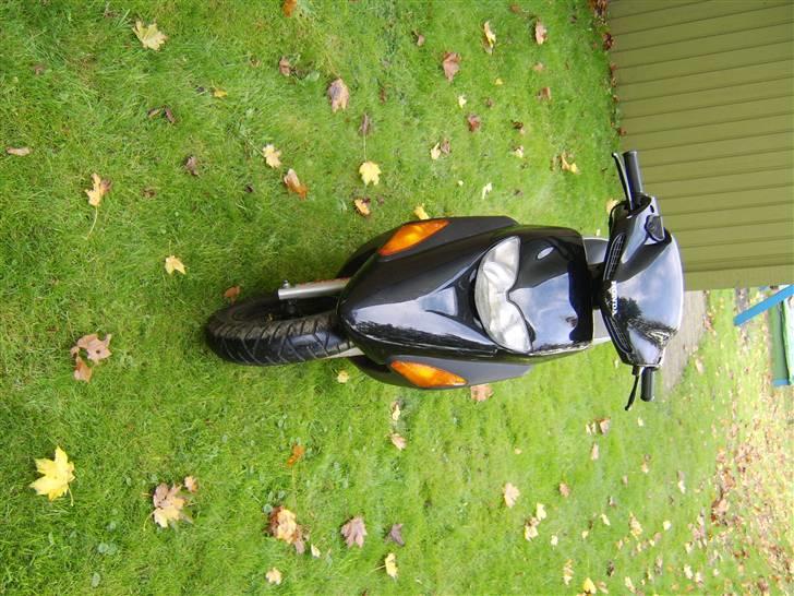 Honda sfx til salg billede 4