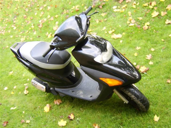 Honda sfx til salg billede 5