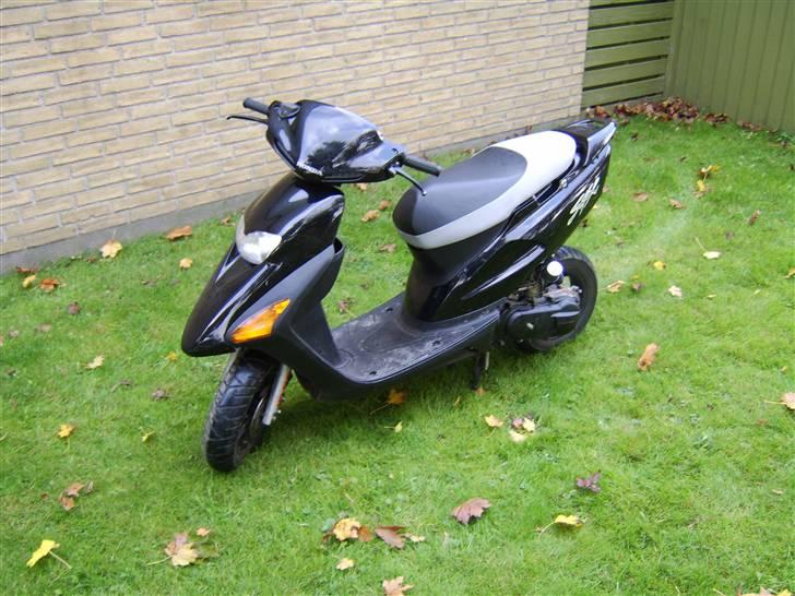 Honda sfx til salg billede 6
