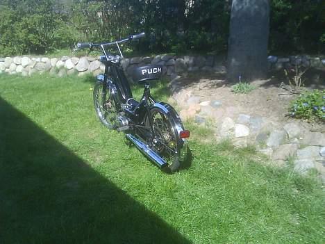 Puch Maxi k - Solgt billede 6