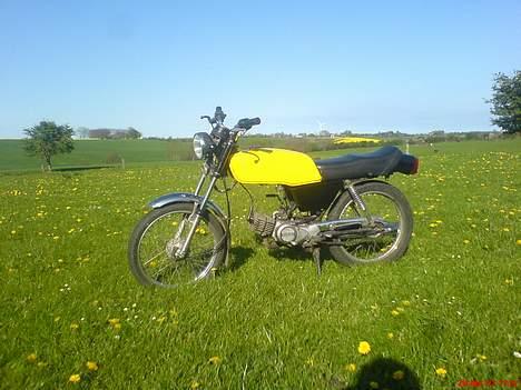 Suzuki Dm 50 Samurai *solgt* billede 9