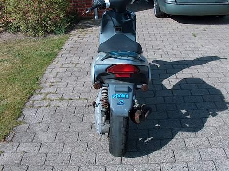 Aprilia rally billede 3