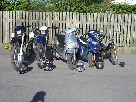 Honda SFX - TEAM THY billede 7