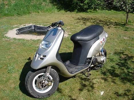 Piaggio typhoon solgt billede 3