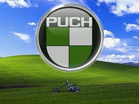 Puch KL. - Det rykker. billede 5