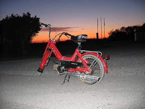 Puch Maxi snart P !! Ved maler - Før ikke så køn billede 1