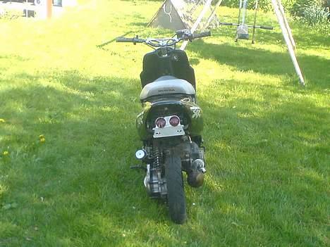 Honda SFX Solgt for en slik billede 3