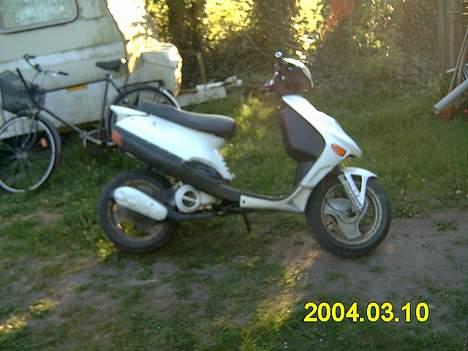 Adly tmp baboon billede 1