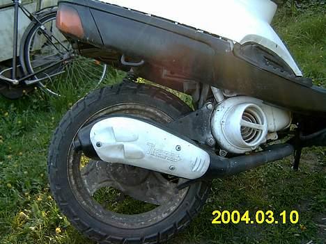 Adly tmp baboon billede 3